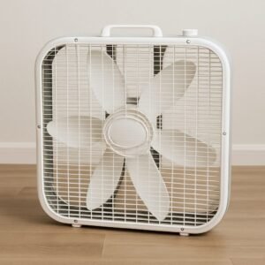 Box Fan for Rent